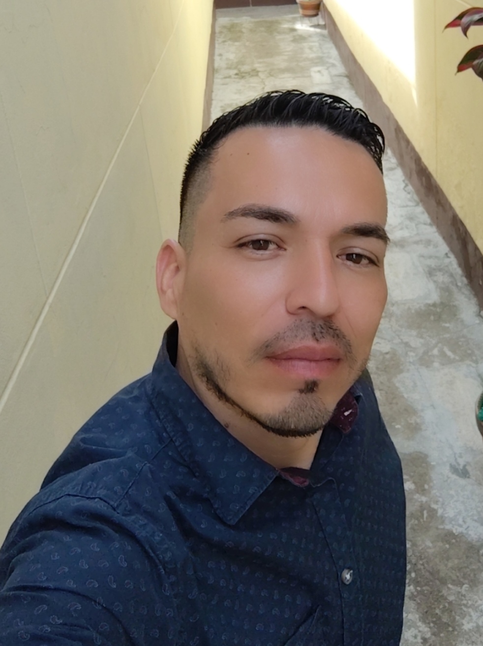 carlitos7182