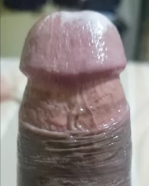 Perrosalvajecaliente
