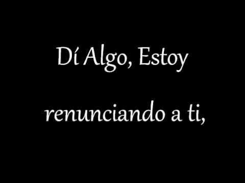 vet_curioso