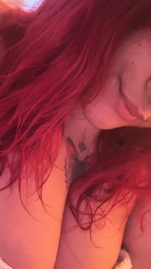 venusxl