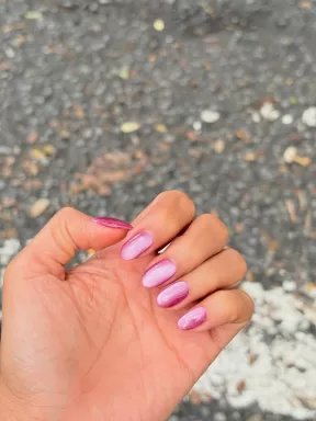 Venus_Barranquilla