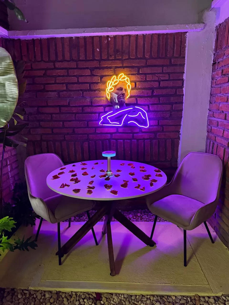 Galería 3