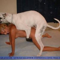 animal-travieso