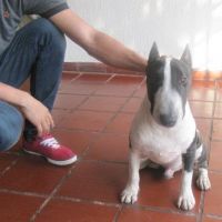 joseph031291