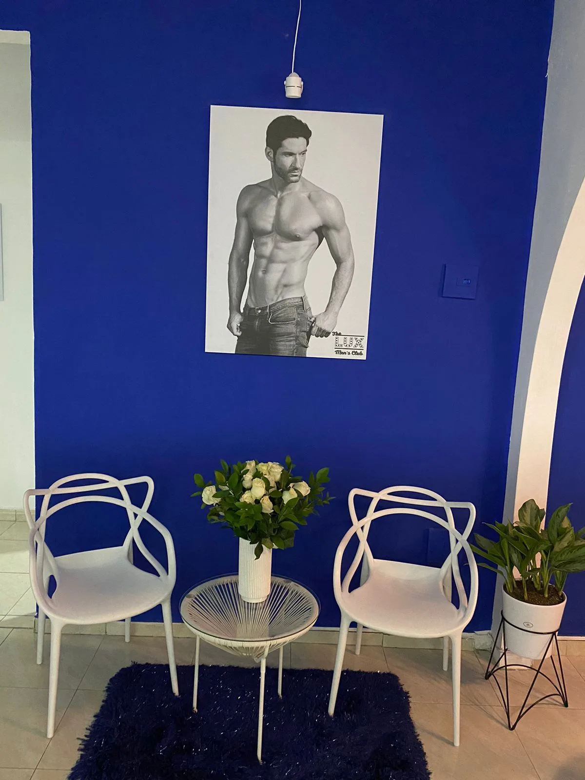 Galería 4