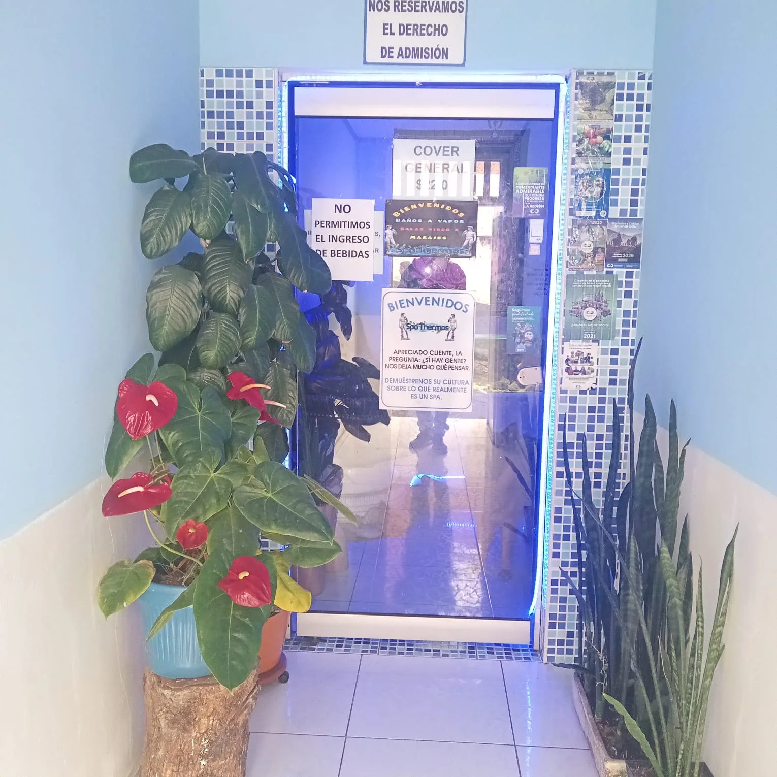 Galería 4