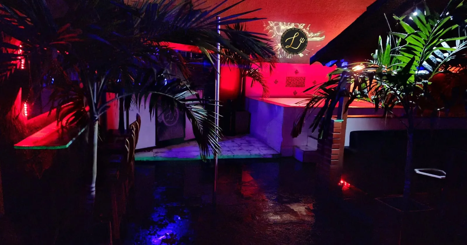Galería 4