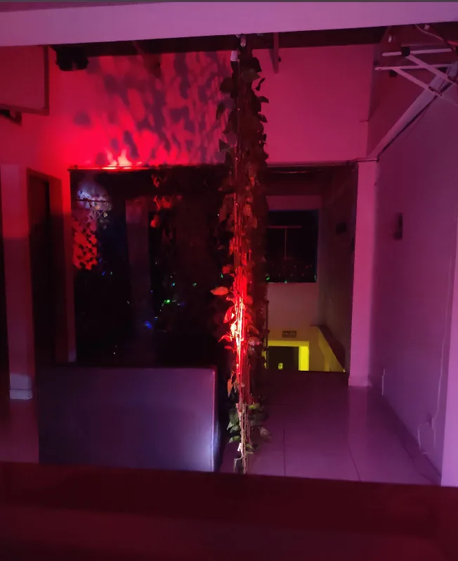 Galería 3