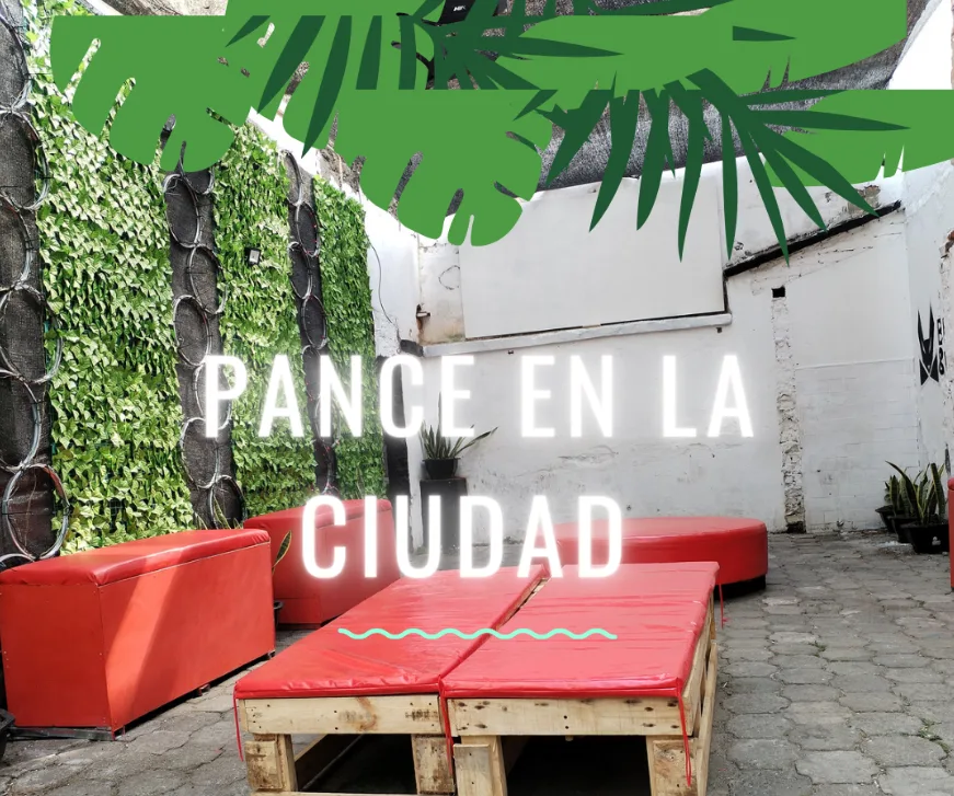 Galería 4