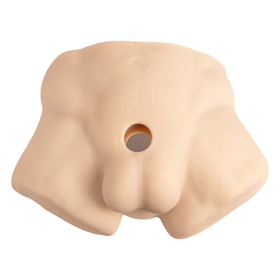 REALISTIC MALE HALF TORSO CARAMEL
