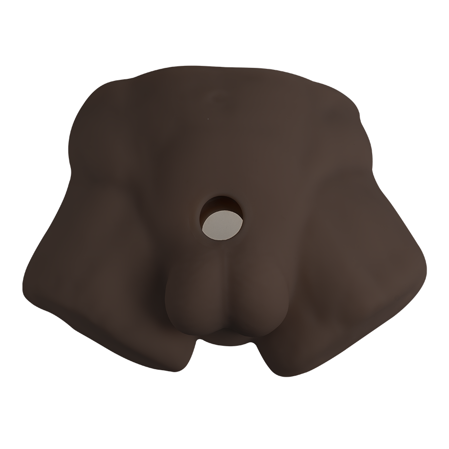 REALISTIC MALE HALF TORSO BROWN
