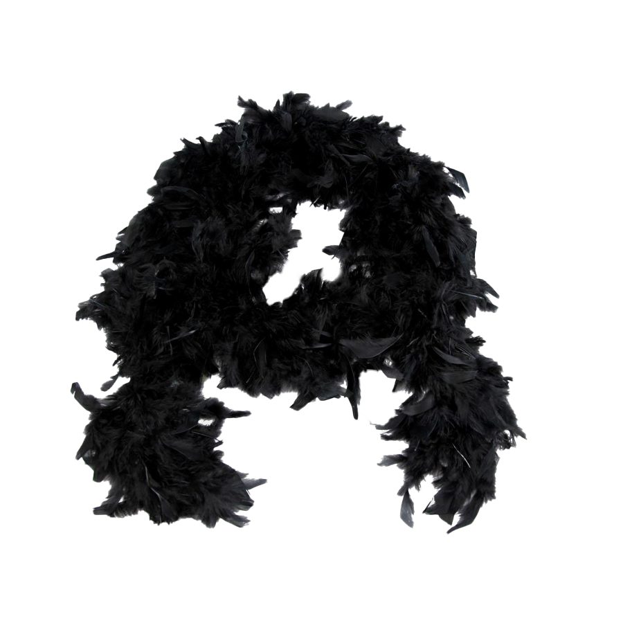 Imagen alternativa del producto: BUFANDA DE PLUMAS NEGRA