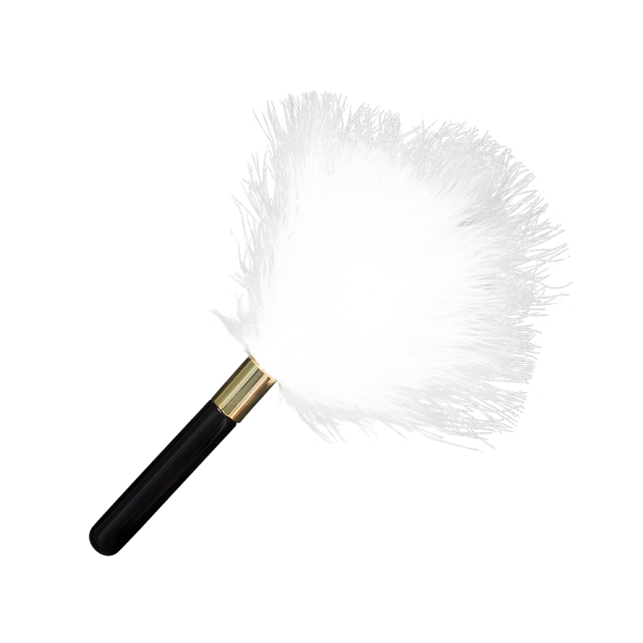 Imagen del producto MINI PLUMERO NIEVE